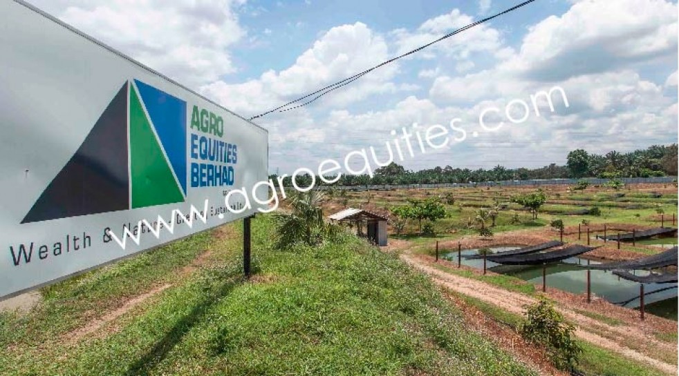 Malaysia Agro Equities Acquires Asia Cornerstone Looks To Launch Agro Focused Fund
