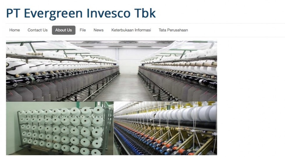 Indonesia Evergreen Eyes 2 2b Via Rights Issue Biggest In 5 Yrs<script async src=