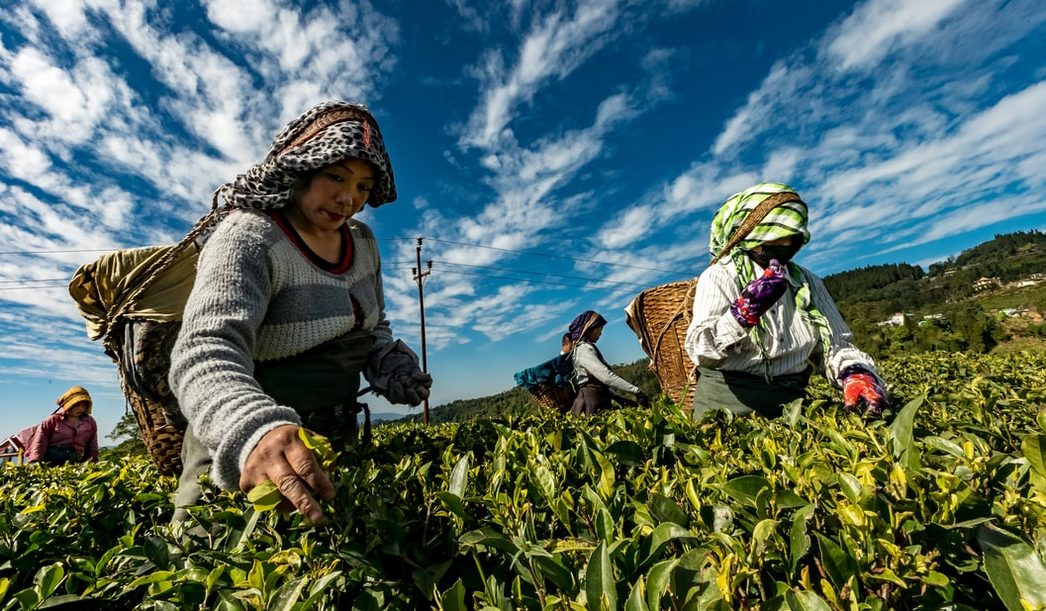 How Big Tech Is Helping Agri Startups And Farming Community