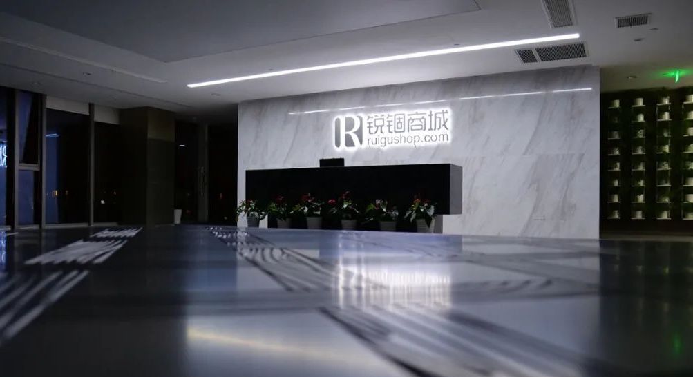 Chinese MRO platform Ruigu raises $250m in Series D round led by Primavera - Vimarsana News